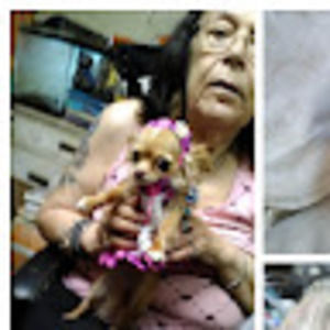 Meet your Posher, Roberta